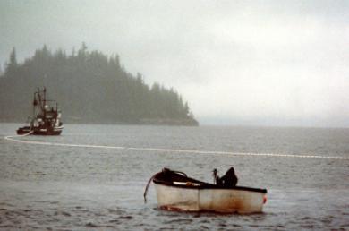 Foggyseinerskiff