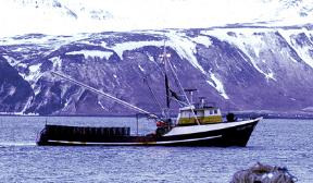FTakutan