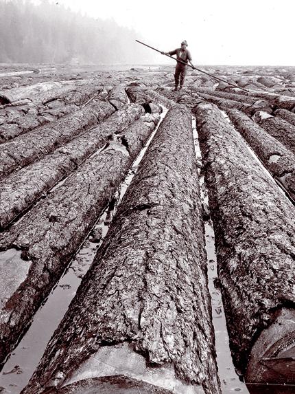 loggers