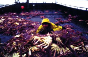Waltercrab